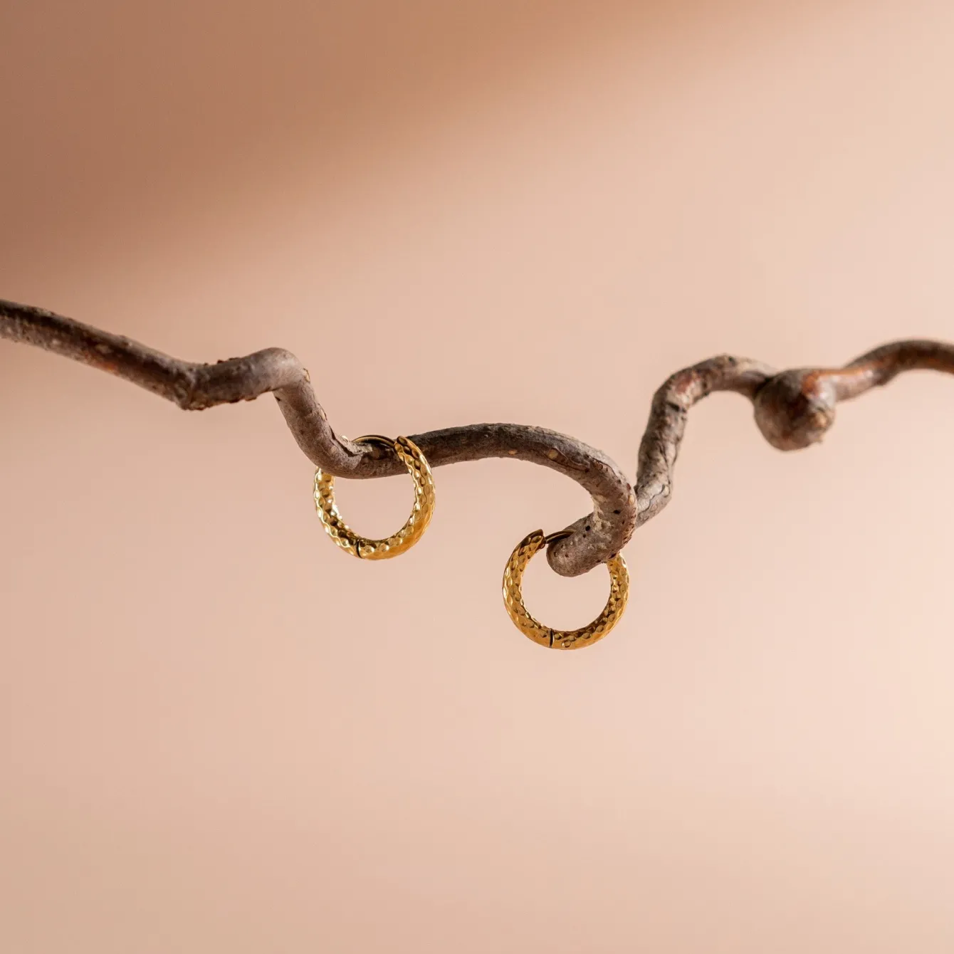 Atolea Jewelry Earrings<Hammered Hoops Earrings