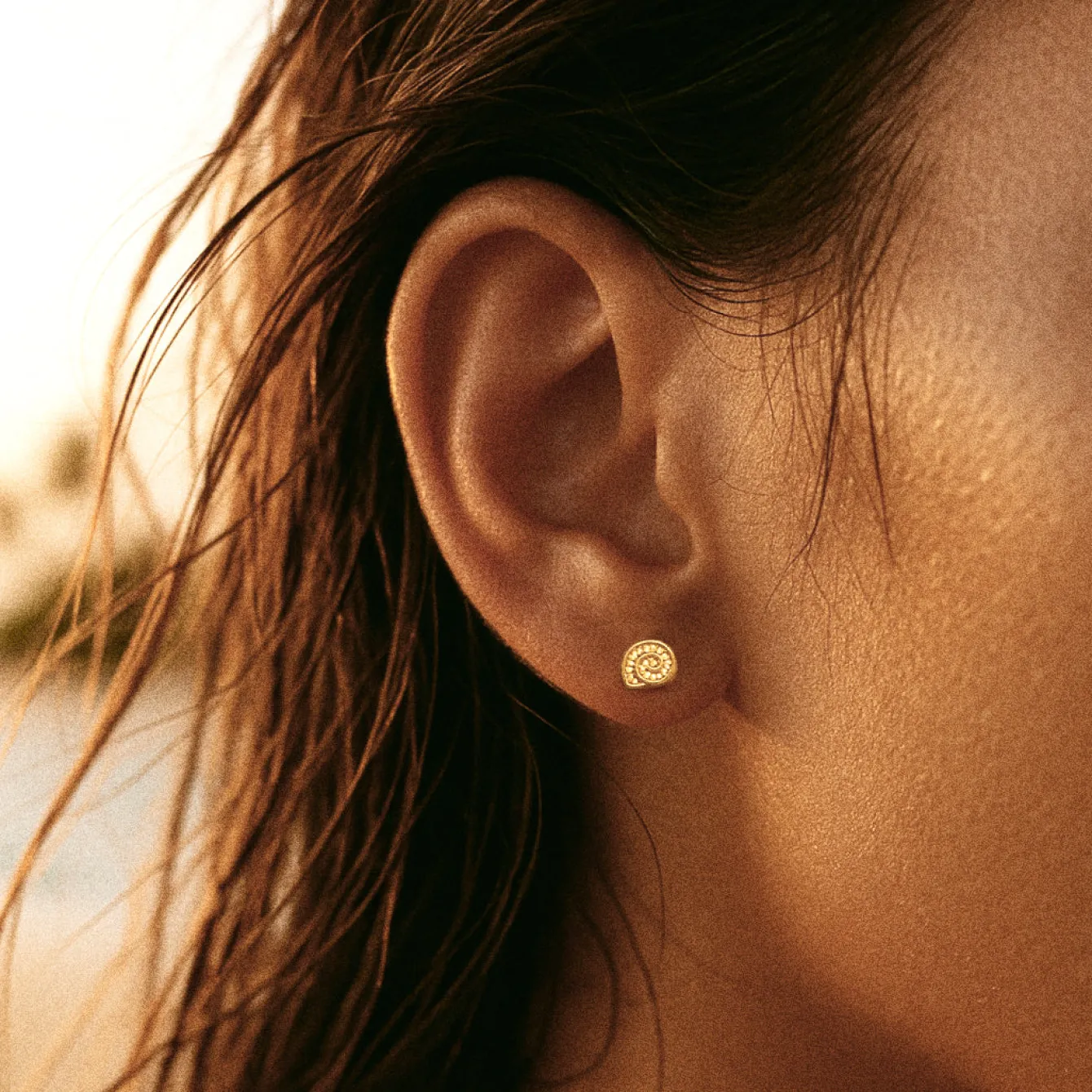 Atolea Jewelry Earrings<Nautilus Earrings