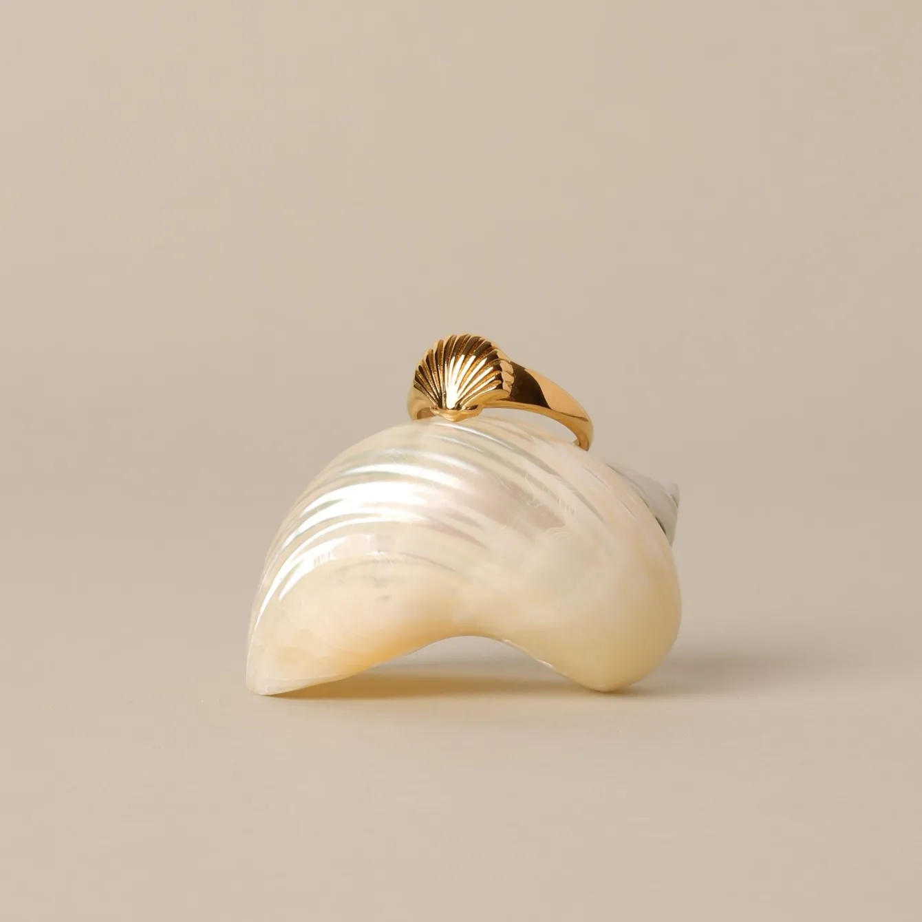 Atolea Jewelry Rings<Seashell Ring